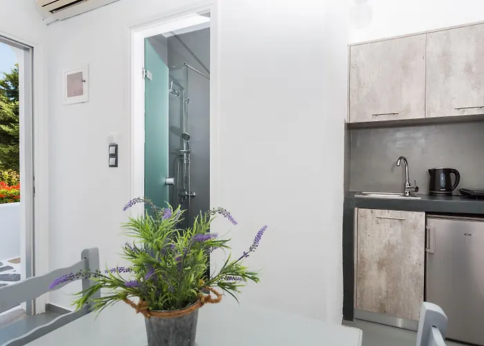 Zoumis Naousa (Paros)